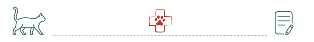 healthy dog supported by pet insurance at All Aboard Animal Hospital Pompano Beach FL